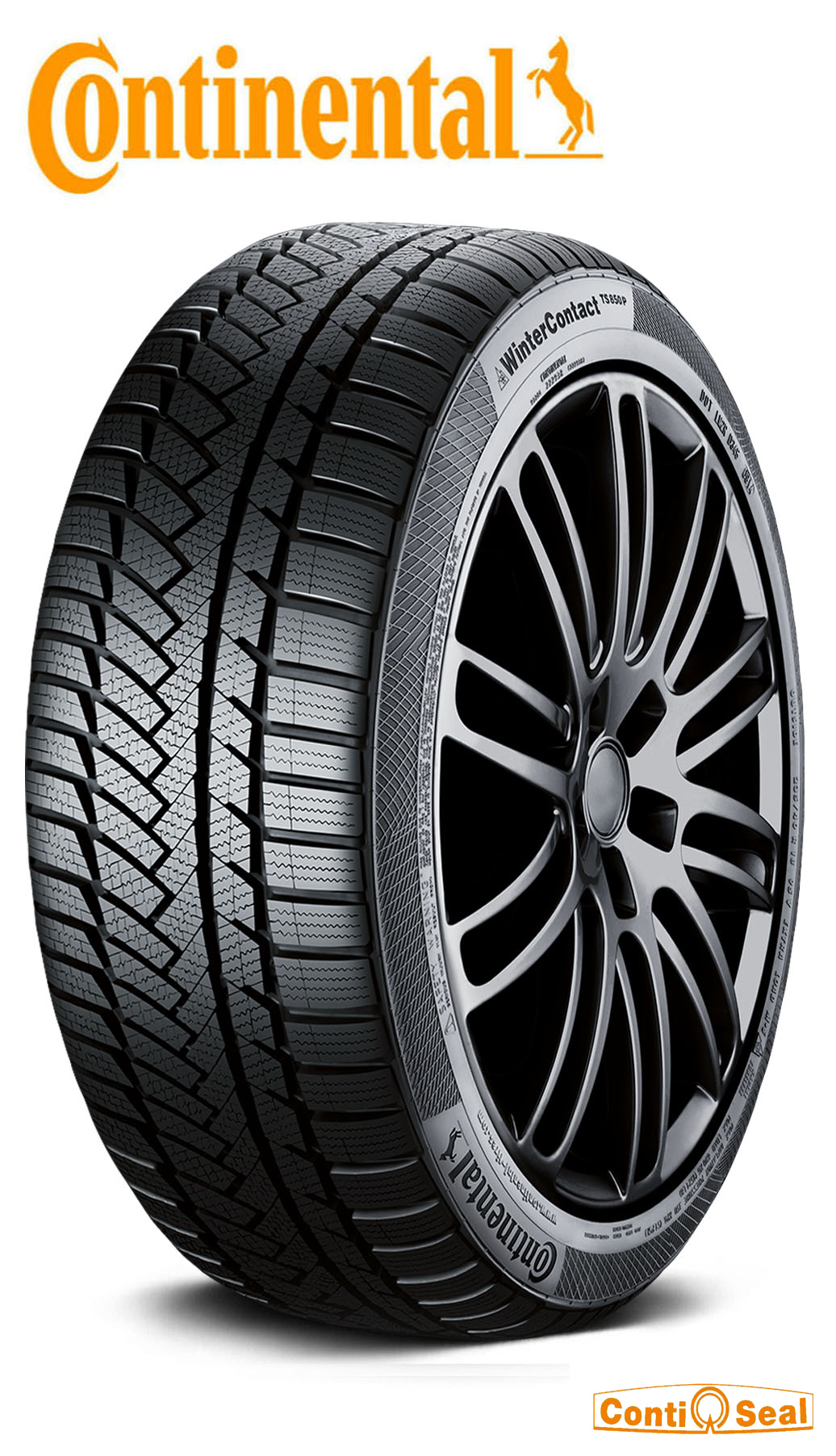 WinterContact TS850P ContiSeal